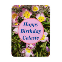 Rosa und gelbe Blumen Geburtstag