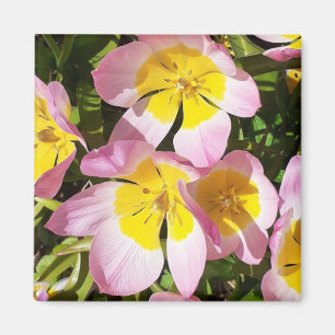 Rosa und gelbe Blumen Magnet