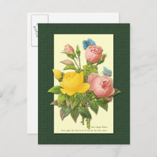 Rosa und gelbe botanische Rose Leere Postkarte