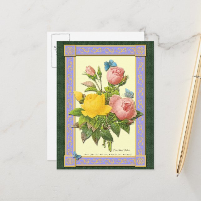 Rosa und gelbe botanische Rose Leere Postkarte (Vorderseite/Rückseite Beispiel)