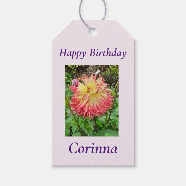Rosa und Gelbe Dahlia Geschenkanhänger (Vorderseite)