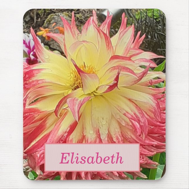 Rosa und Gelbe Dahlia Mousepad (Vorne)