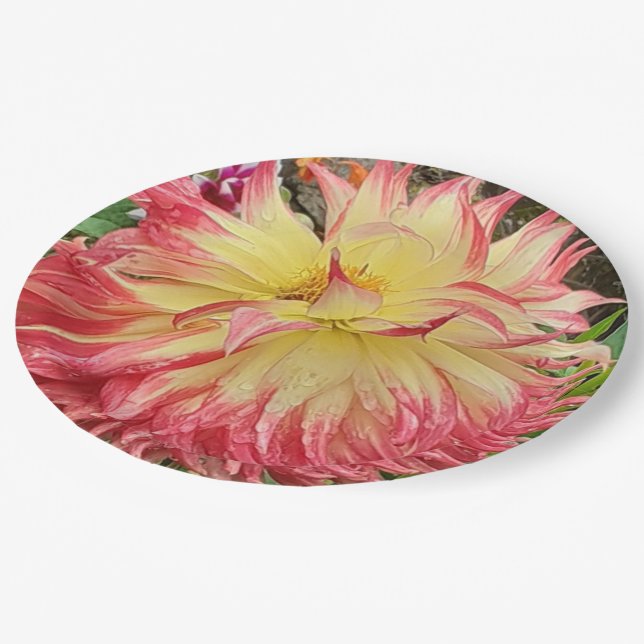 Rosa und Gelbe Dahlia Pappteller (Schrägansicht)
