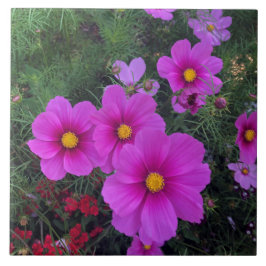 Rosa und gelbe Daisy-Blume Keramik Tile Fliese