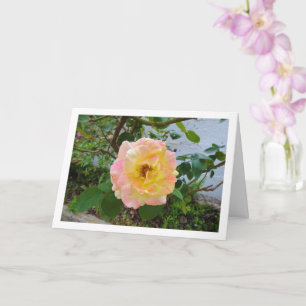 Rosa und gelbe florale Rose Karte