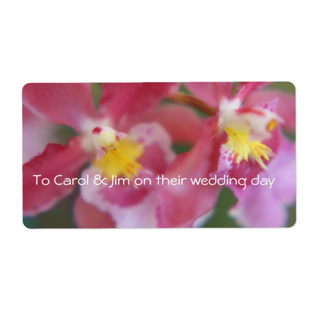 Rosa und gelbe Orchideen (Vorne)