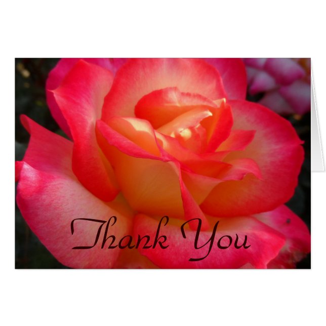 Rosa und Gelbe Rose Danke (Vorderseite (Horizontal))
