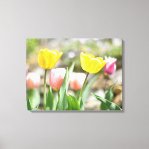 Rosa und gelbe Tulpen Leinwanddruck