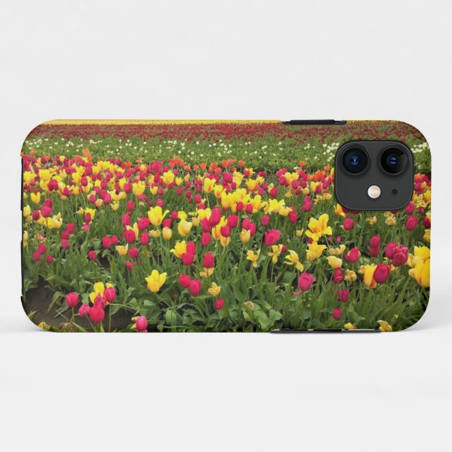 Rosa und gelbe Tulpen, Oregon Case-Mate iPhone Hülle (Rückseite (Horizontal))