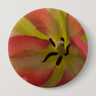 Rosa und Gelbfärbung Button