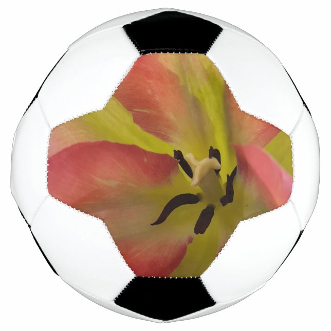 Rosa und Gelbfärbung Fußball (Vorderseite)