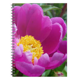 Rosa- und GelbpechNotebook Notizblock