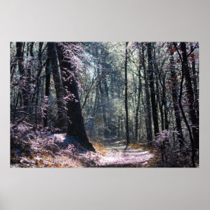 Rosa und grüne Eiswälder - Hot Springs Mt Trail Poster