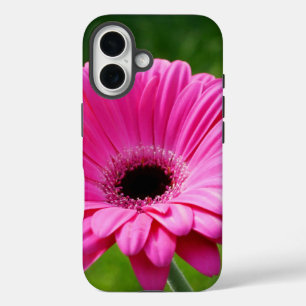 Rosa und grüne Gerbera Daisy iPhone 16 Hülle