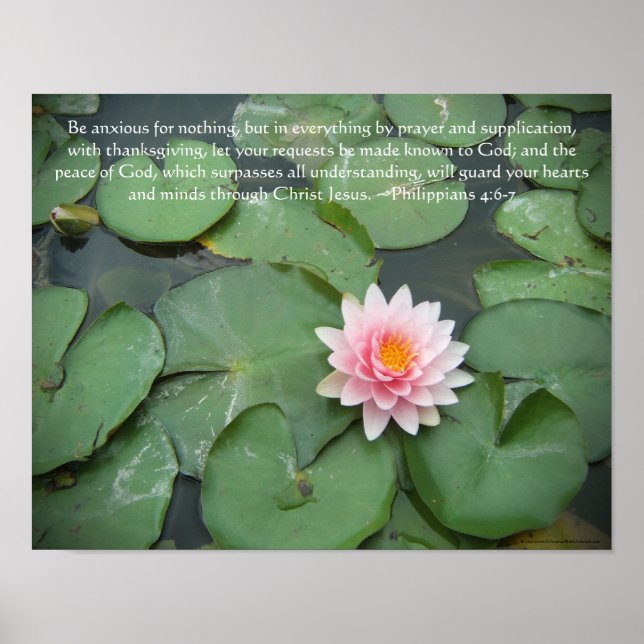 Rosa und grüne Lily Pad Blume mit Bibelverse Poster (Vorne)