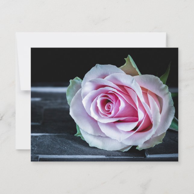 Rosa und grüne Rose Einladung (Vorderseite)