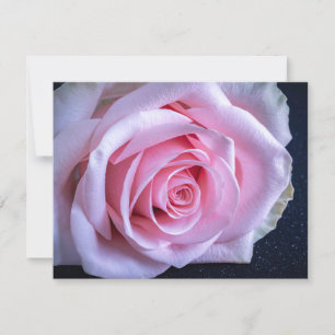 Rosa und grüne Rose Einladung