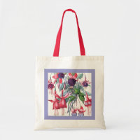 Rosa und Lila Blume, die Fuchsien beeinflussen