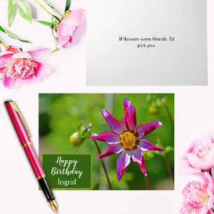 Rosa und Lila Dahlia Blume Geburtstag Karte