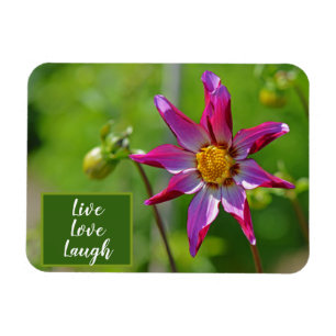 Rosa und Lila Dahlia-Blume Motivierend Magnet