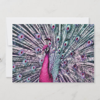 Rosa und Lila Fantasy-Pfau-Party Einladungen