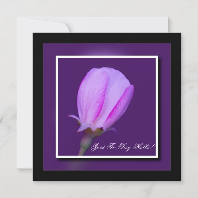 Rosa und Lila Frühlingssalon Hallo Karte (Vorderseite)