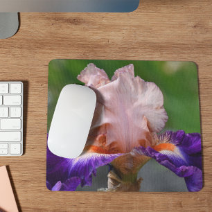 Rosa und Lila gebärfähige Irisblüte Mousepad