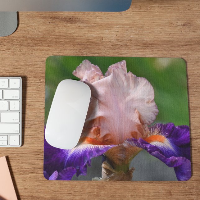 Rosa und Lila gebärfähige Irisblüte Mousepad (In Situ)