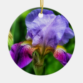 Rosa und Lila Gelbe Iris-Blume Keramik Ornament