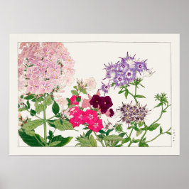 rosa und Lila Phlox-Blume von Tanigami Konan, Poster