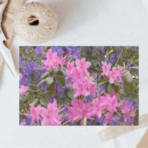 Rosa und Lila Rhododendren Seidenpapier