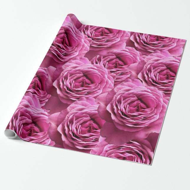 Rosa und lila Rose Geschenkpapier (Ungerollt)