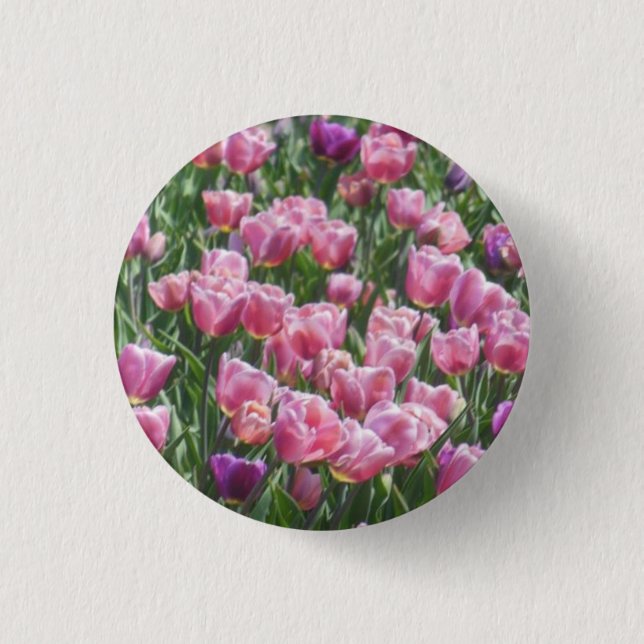 Rosa und lila Tulpe-Garten Button (Vorderseite)