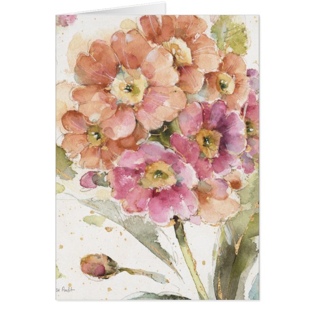 Rosa und orange Primel (Vorne)