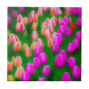 Rosa und orangefarbene Tulpenmuster Fliese