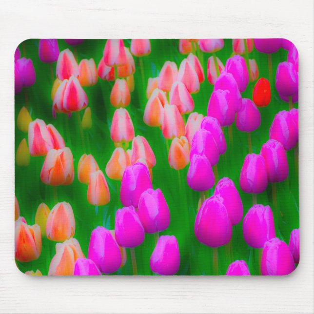 Rosa und orangefarbene Tulpenmuster Mousepad (Vorne)