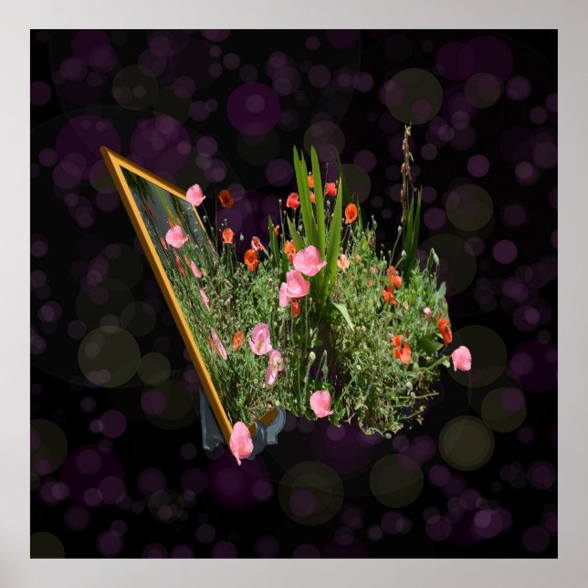 Rosa und Rot-Mohnblume Poster (Vorne)