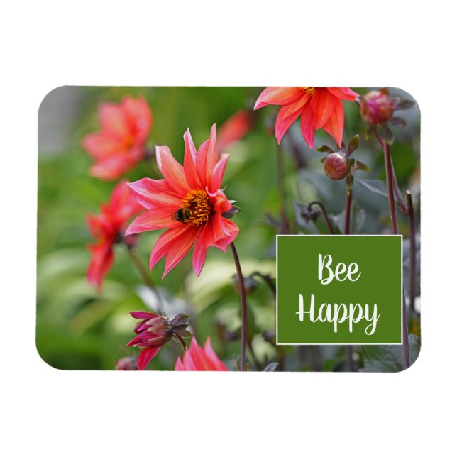 Rosa und Rote Dahlia Bee Happy Blume Motivierend Magnet (Horizontal)