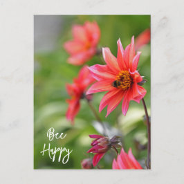 Rosa und Rote Dahlia Bee Happy Blume Wisley Postkarte