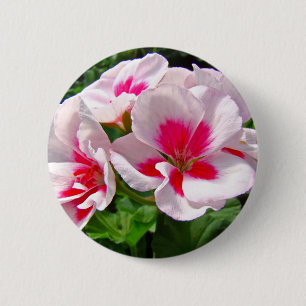 Rosa und Rote Geranie Button
