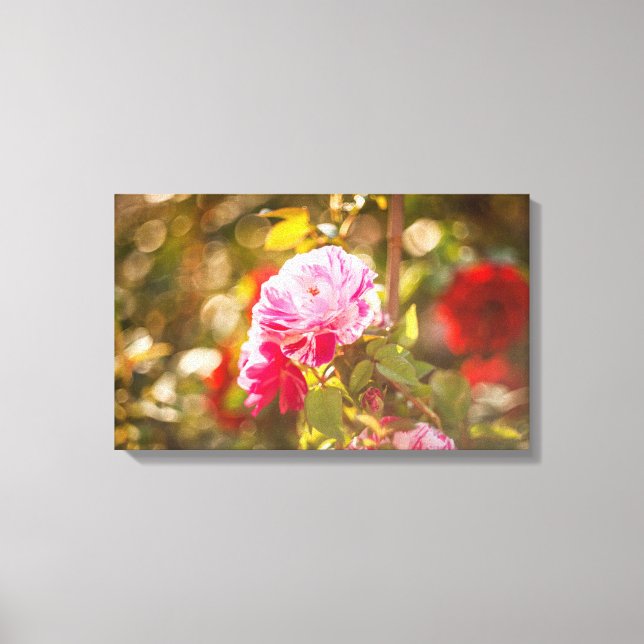 Rosa und rote Rosen Leinwanddruck (Vorderseite)