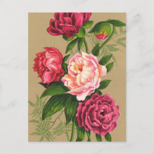 Rosa und Rote Rosen Postkarte