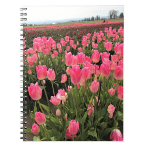 Rosa und rote Tulpen auf einem Feld, Oregon Notizblock
