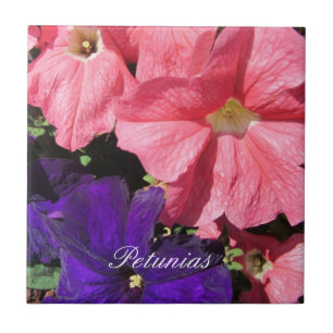 Rosa und violette Petunien Fliese