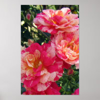 Rosa und weiß gestrichene Rose Blumengesteck