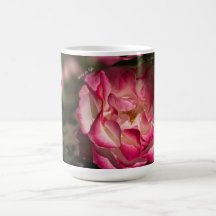 Rosa und Weiß