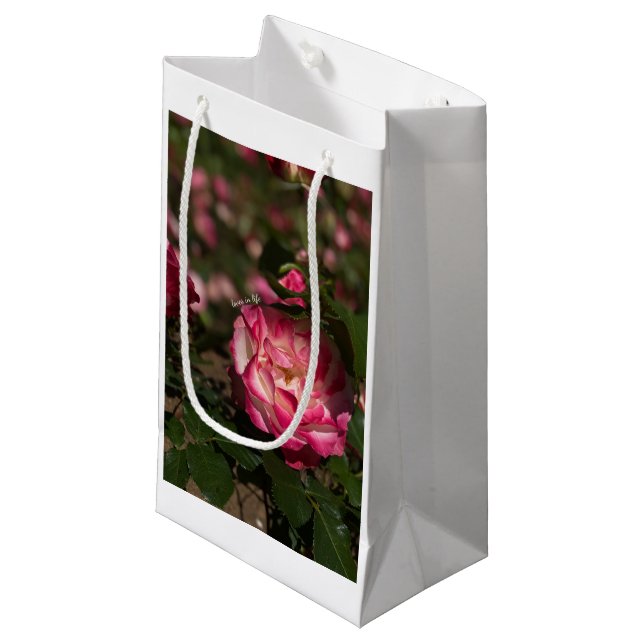 Rosa und Weiß Kleine Geschenktüte (Vorderseite Schrägansicht)