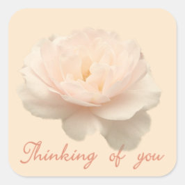 Rosa und Weiß Quadratischer Aufkleber