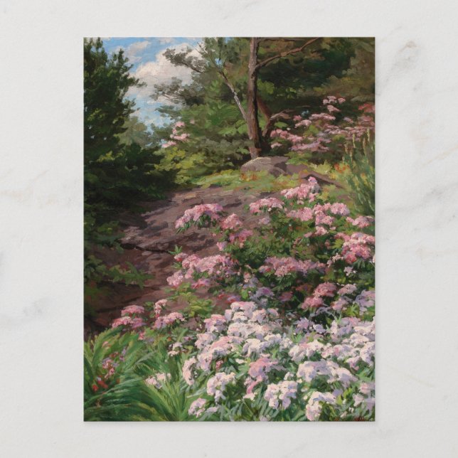Rosa und Weiß Rhododendron | Thomas Allen, Jr. Postkarte (Vorderseite)