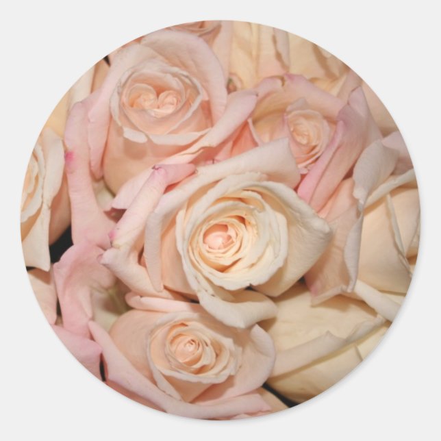 Rosa und Weiß Runder Aufkleber (Vorderseite)